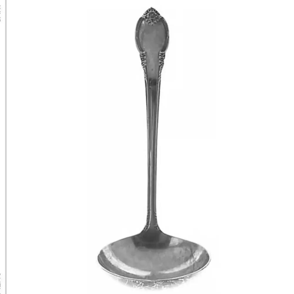 Remembrance Silverplate Flatware 4-pc Hostess Set International Silver 1948